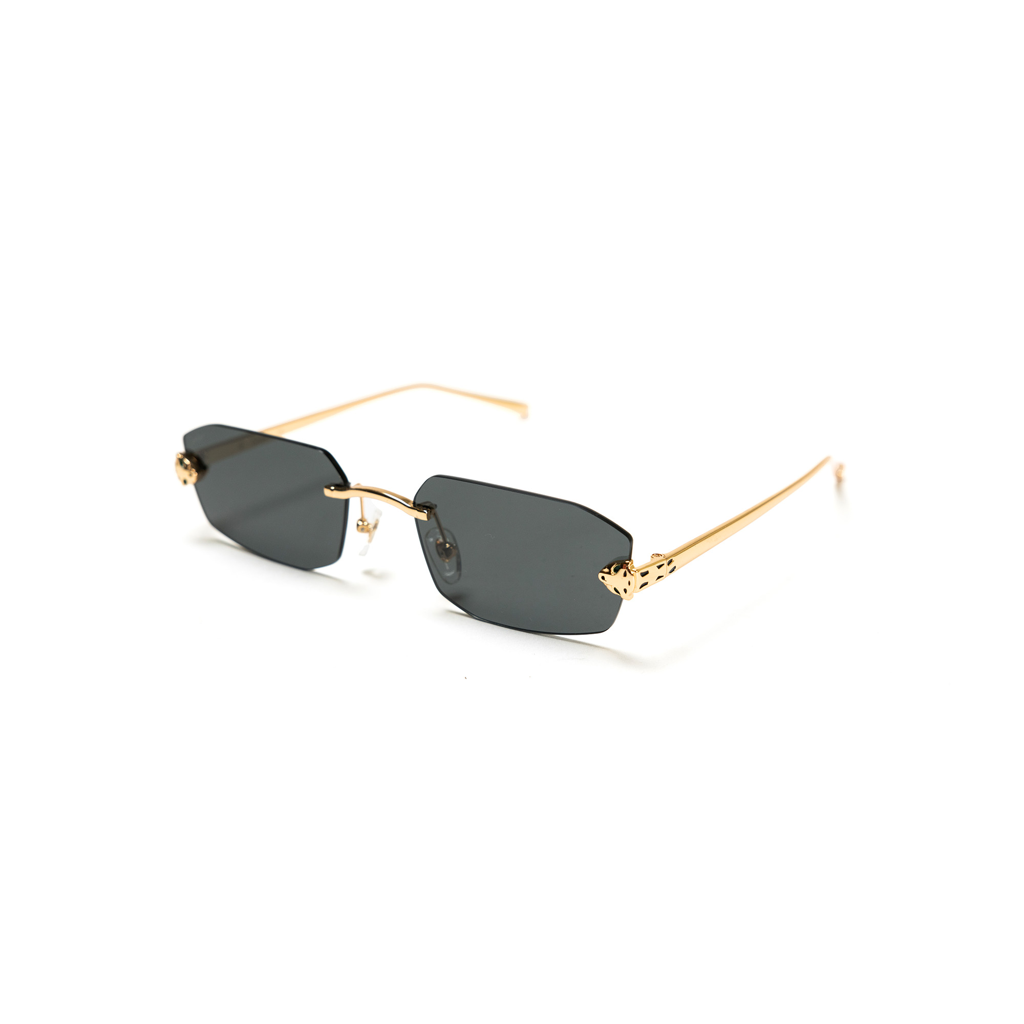 CT0474S Sunglasses