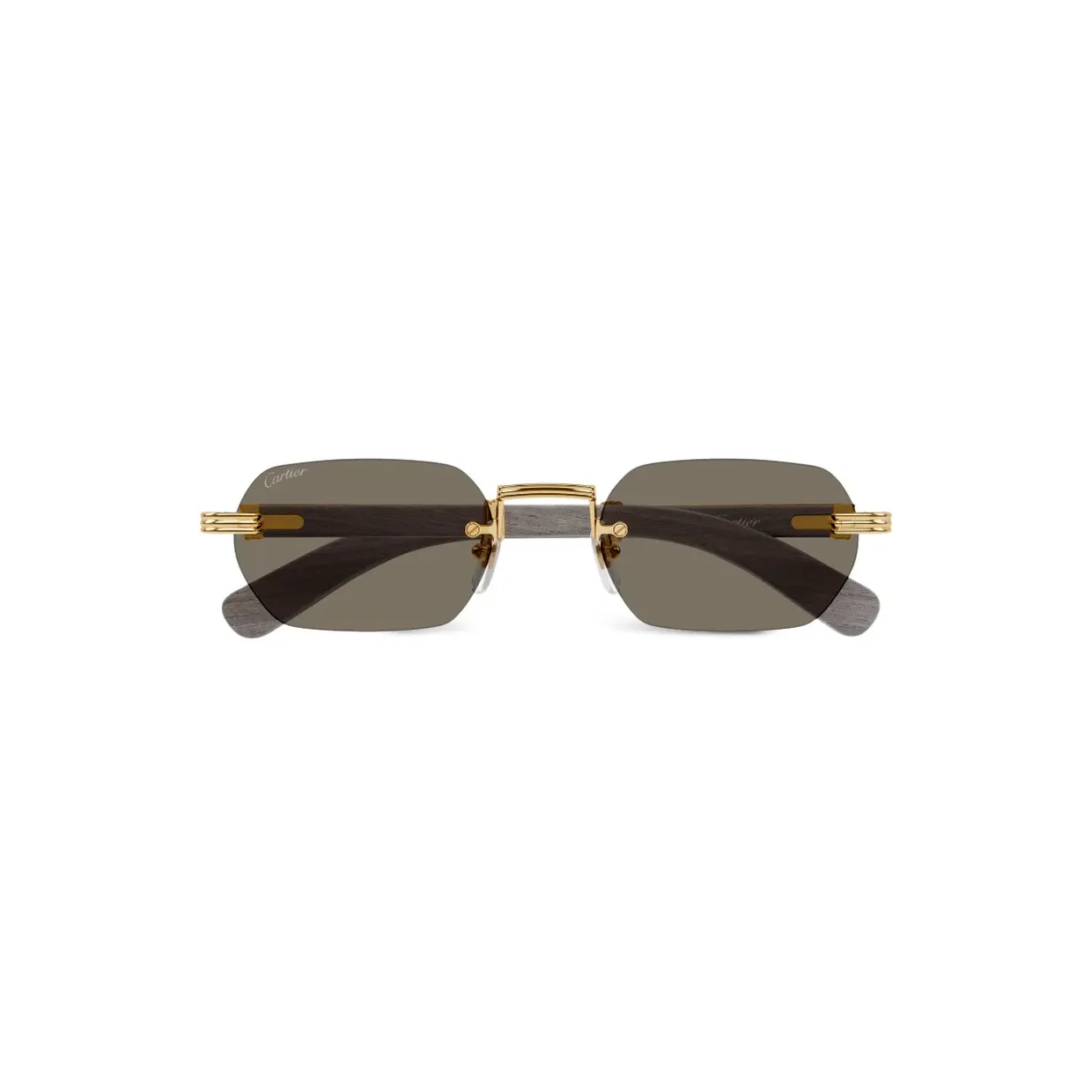 CT0362S Sunglasses