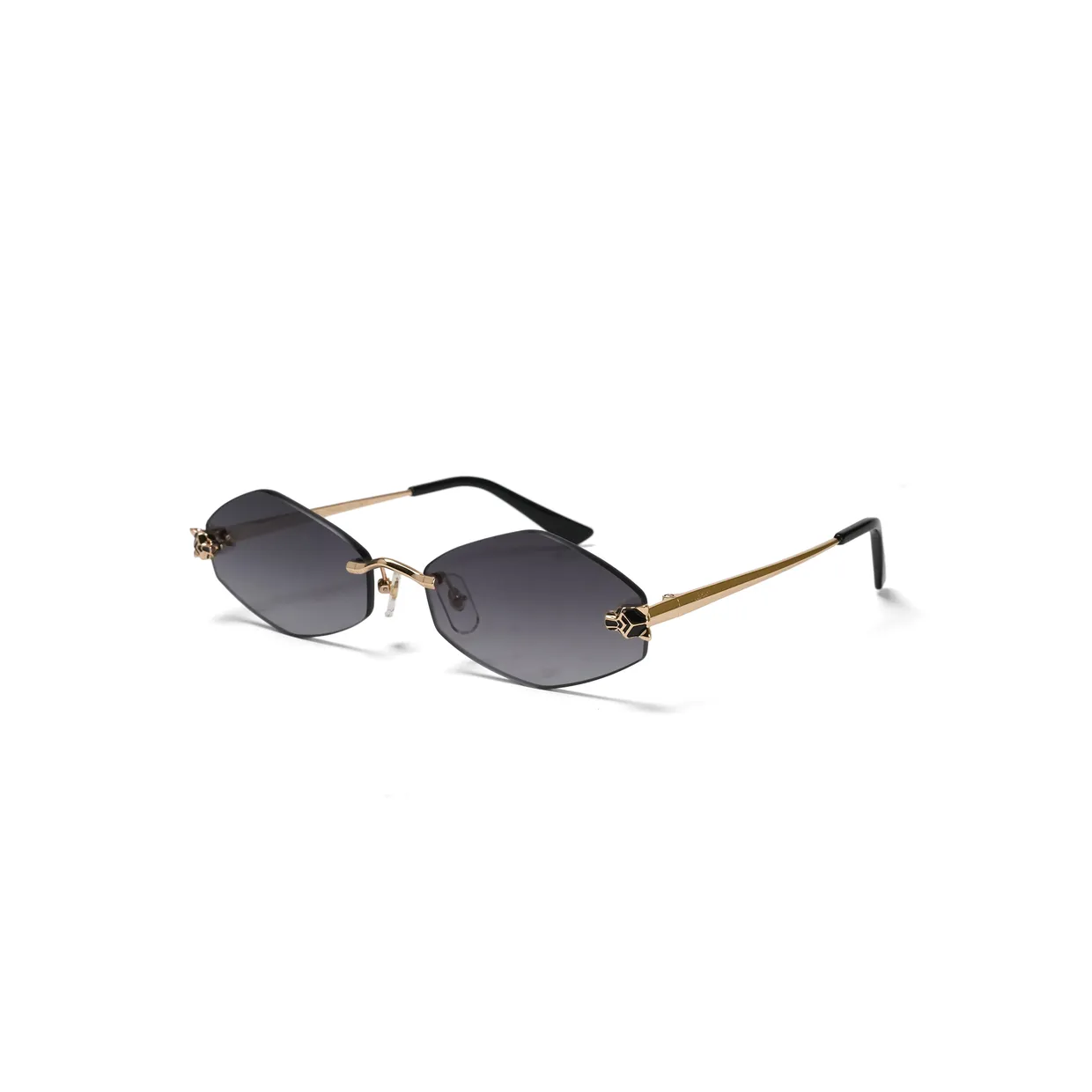 CT0433S Sunglasses